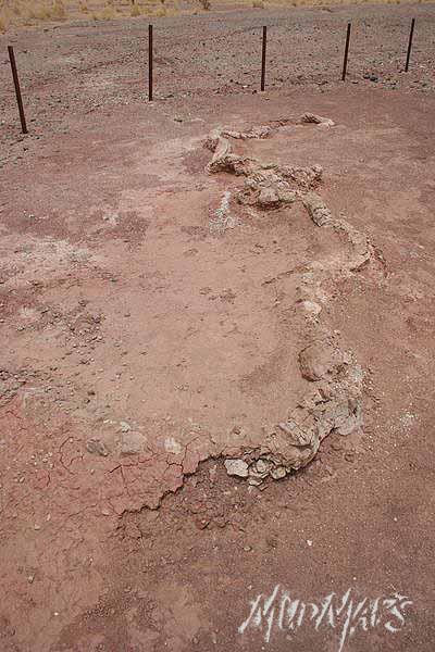 Mud Maps Africa Agadez dinosaur bones 3385